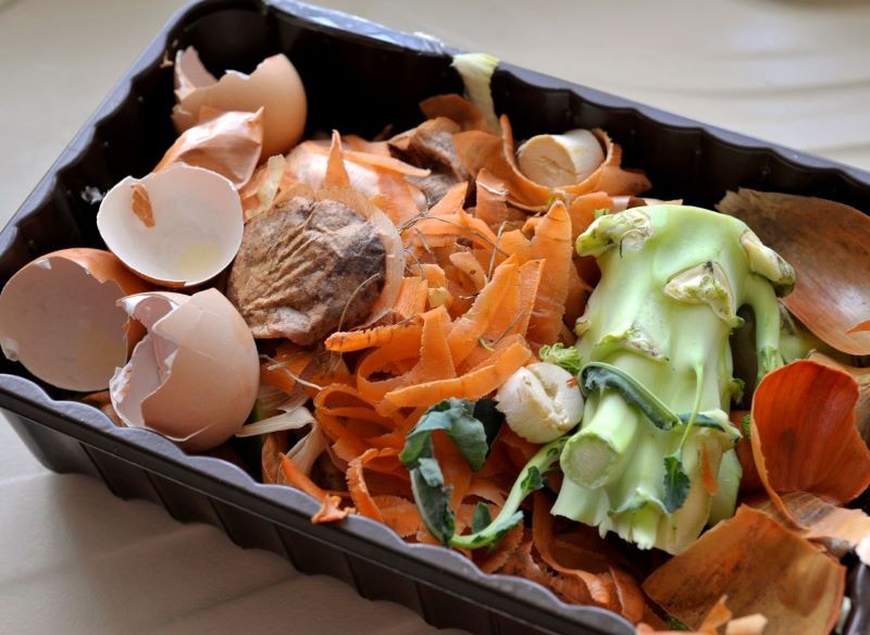 Podczas gotowania w kuchni powstaje wiele odpadków, które można przerobić na nawóz.
