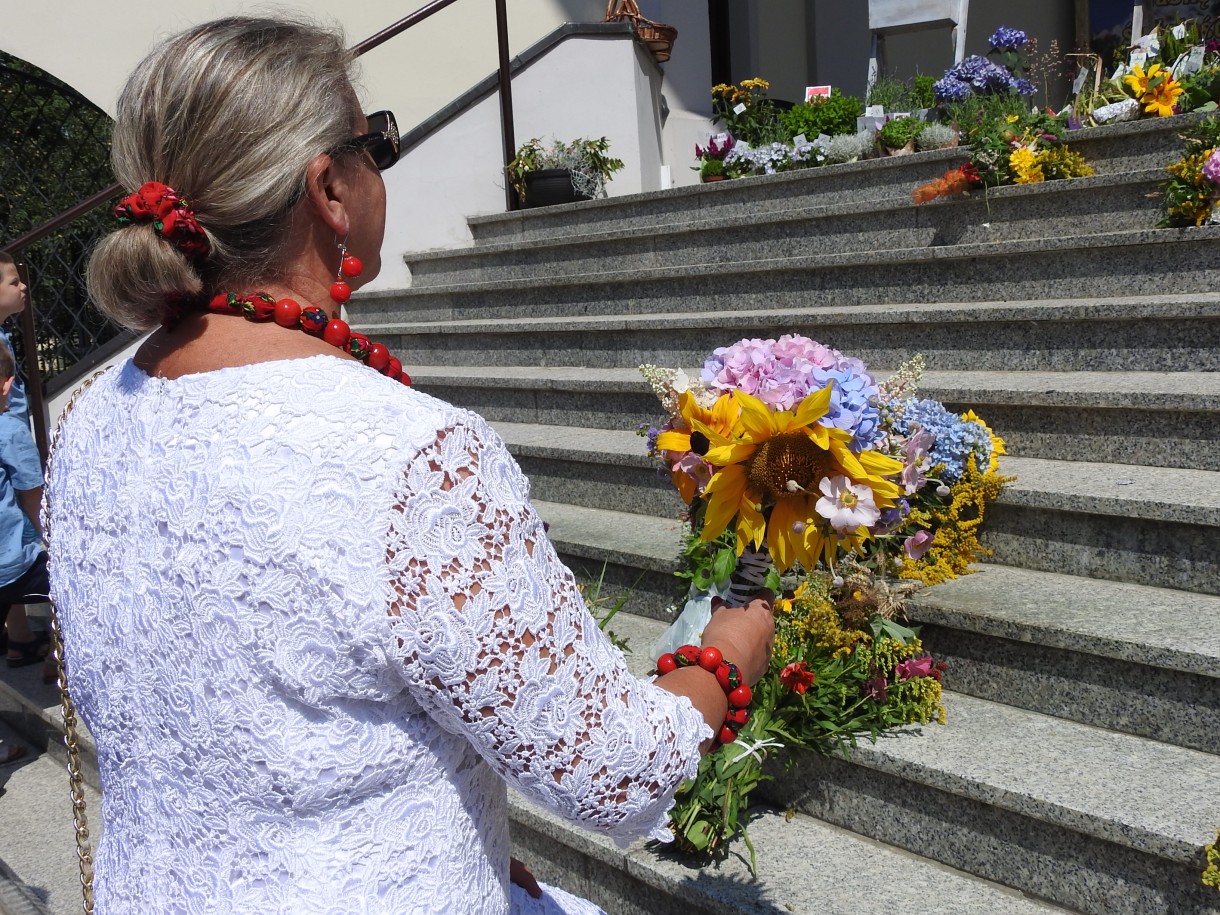 Rośliny, NIEZWYKŁA MOC KWIATÓW I ZIÓŁ