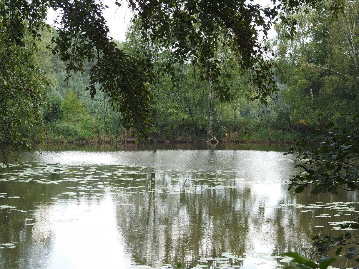 Leśne klimaty, ZWYKŁE I NIEZWYKŁE