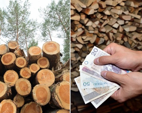 Ile kosztuje drewno opałowe w grudniu 2023? Uważaj na mokre drewno