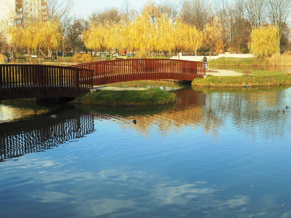 Rośliny, JESIEŃ  LŚNI  ZŁOCIŚCIE - Park Kachla Bytom