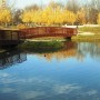 Rośliny, JESIEŃ  LŚNI  ZŁOCIŚCIE - Park Kachla Bytom