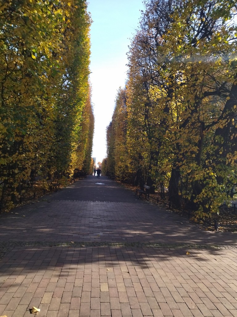 Rośliny, Zaraz listopad.......................... - Jesień nad morzem jest piękna ..................................................