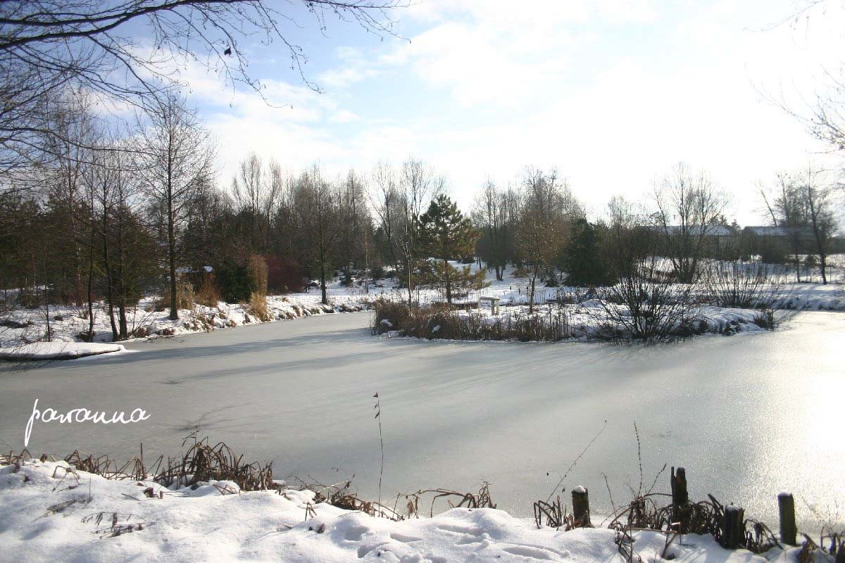 Pozostałe, Mój ogród zimą - staw