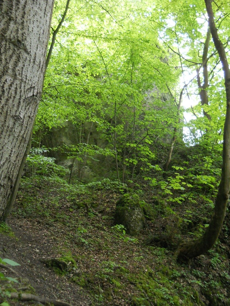 Podróże, Dolina Mnikowska, wycieczka spacerowo - wyczynowa:) - ;)
W tę stronę - jakoś - się udało. Wyżej już tylko z obawą o powrót. Słuszną.