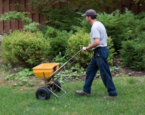 Jak zabezpieczyć trawnik na zimę? Wykonaj 5 zadań, wiosną będziesz mieć zielony, puchaty dywan