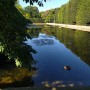 Rośliny, Jeszcze sierpniowa...........wciąż letnia galeria.......... - Lato powoli się kończy................słonka coraz mniej ..................w ogrodzie hortensje wybarwiają się na różowo ....................dojrzałe owoce kuszą .....................borówka już w słoikach ..............idzie jesień ................