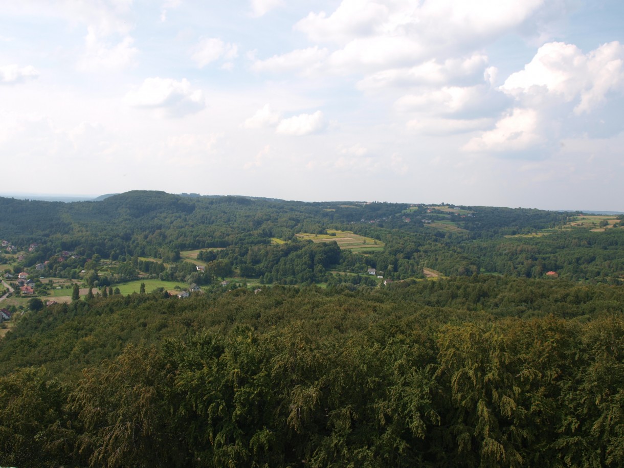 Pozostałe, skansen i ruiny zamku