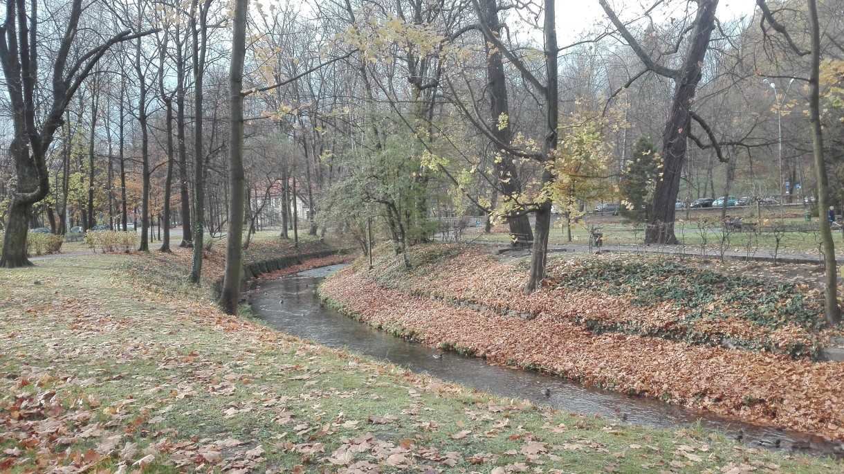 Podróże, Listopadowy park