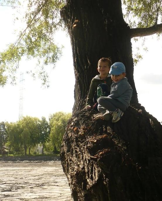 Pozostałe, Jeszcze sierpniowa ..........wciąż letnia i wakacyjna........... - ................i Maluchy na drzewie .............nie ma jak u babci , wszystko wolno.........