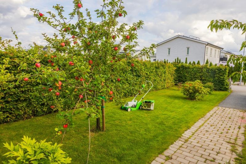 W maju warto sadzić jabłonie.