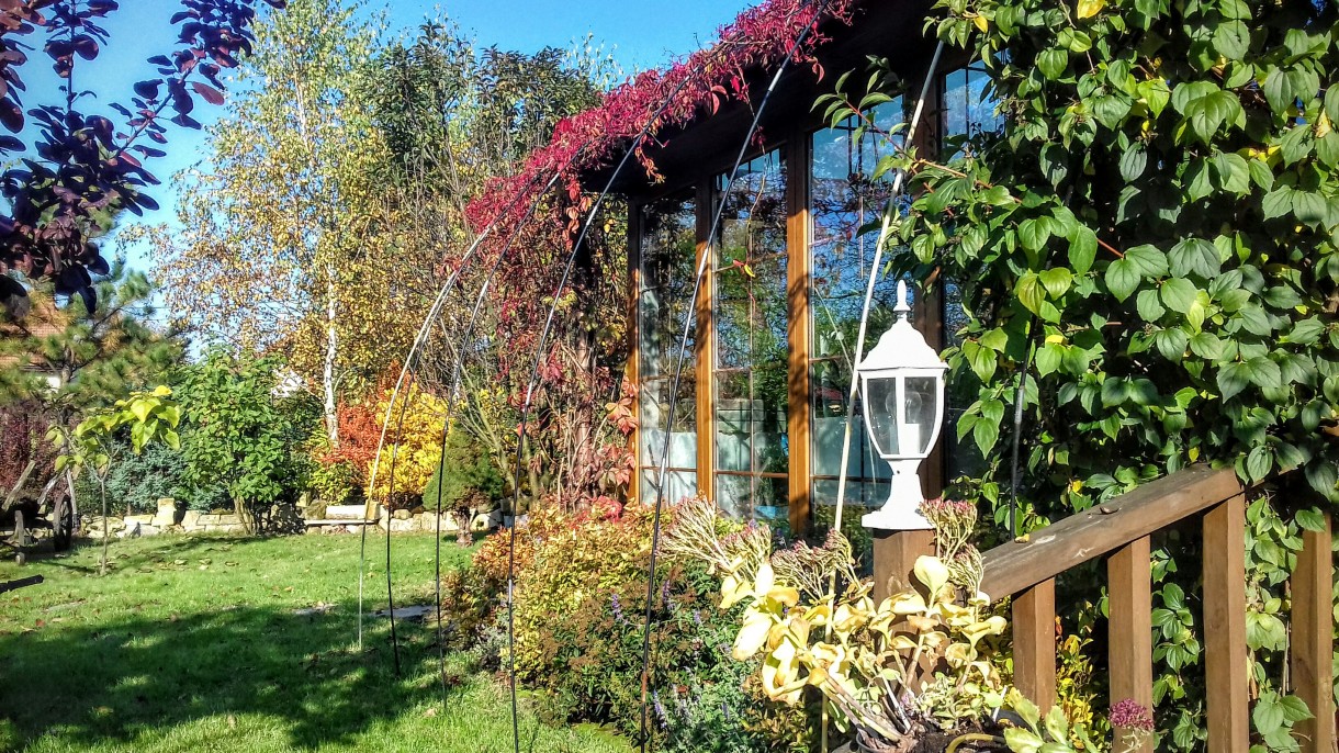 Pozostałe, Jesień w ogrodzie "Wyjątkowego domu"