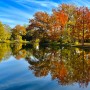 Leśne klimaty, Wszystkie kolory jesieni