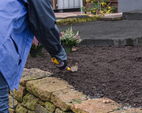Rośliny, które możesz wysiać na ostatnią chwilę. Nie boją się śniegu i mrozów