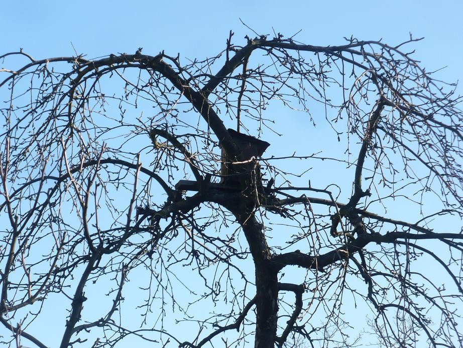 Pozostałe, Wiosenne dekoracje.............. - ..................i i budka lęgowa dla ptaszków................