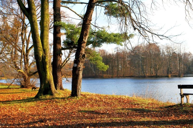 Ogród, Na tle błękitnego nieba.