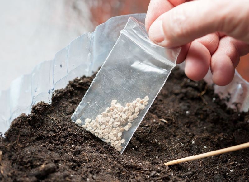 Podczas wysiewu nasion metodą winter sowing trzeba się trzymać kilku prostych zasad.