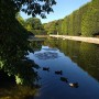 Rośliny, Jeszcze sierpniowa...........wciąż letnia galeria.......... - Lato powoli się kończy................słonka coraz mniej ..................w ogrodzie hortensje wybarwiają się na różowo ....................dojrzałe owoce kuszą .....................borówka już w słoikach ..............idzie jesień ................