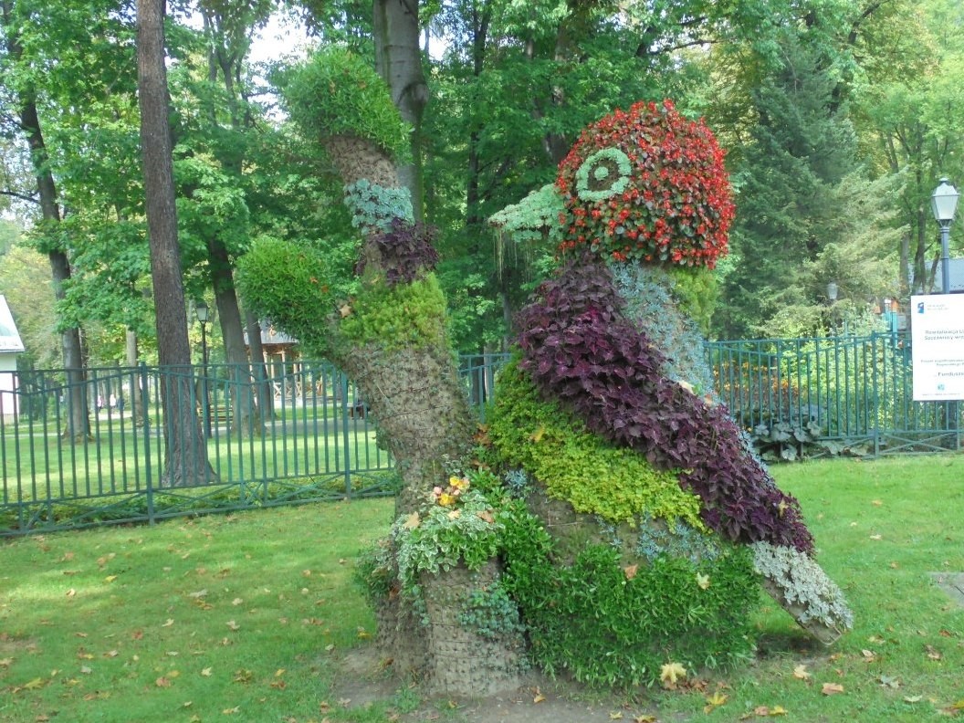 Pozostałe, FLORA i FAUNA  SZCZAWNICKA  - II część