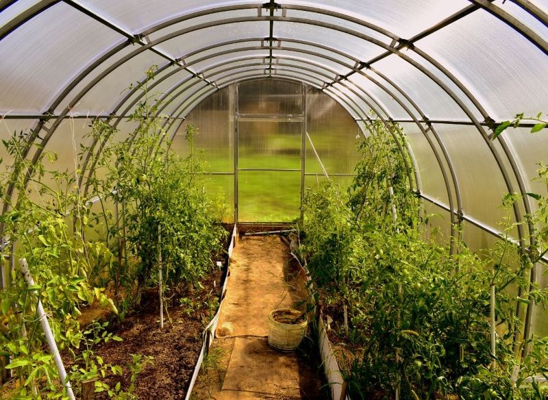 Lista prac w szklarni pod koniec sezonu jest długa.