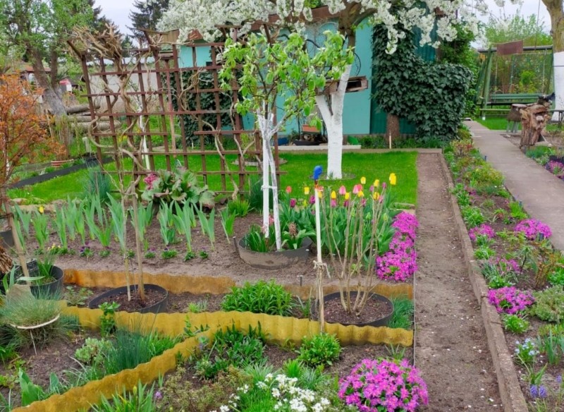 kontrole na działkach ROD