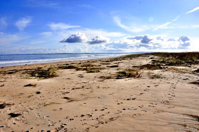 Pozostałe, go to Scotland... - plaża w Dornoch