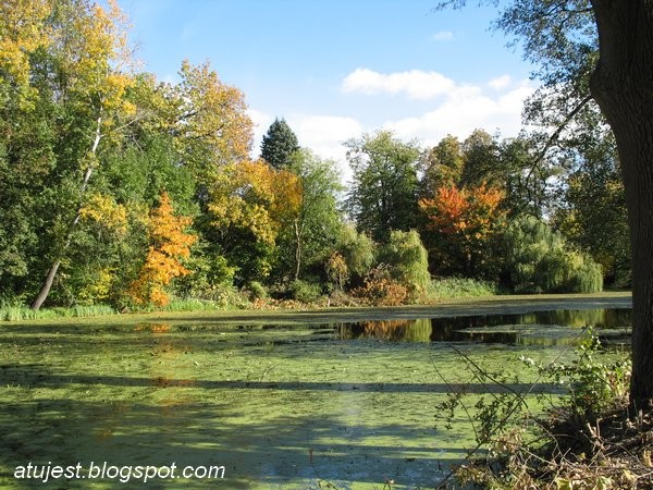 Pozostałe, Odkurzone foto - Park Czartoryskich w Puławach z zabytkami, ale teraz letnią porą. Widok ze skarpy na starą łachę wiślaną i pływające łabędzie.