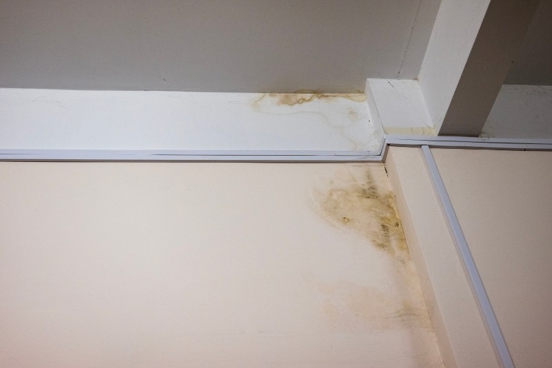 wykwity solne na ścianach w domu