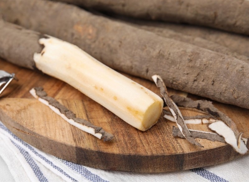 jak uprawiać skorzonerę