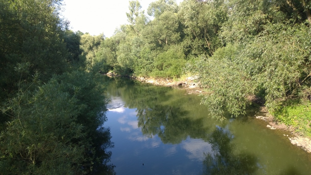 Pozostałe, koniec lata coraz bliżej ...... - nad zeką w naszym mieście