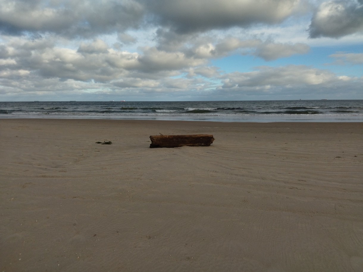 Dekoracje, Lutowe fotki..........czas na serduszka.................. - ..................i plaża po wichurze...............