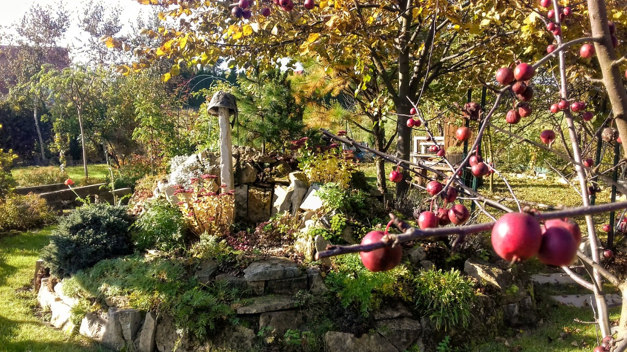 Pozostałe, Jesień w ogrodzie "Wyjątkowego domu"
