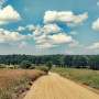 Leśne klimaty, Natura