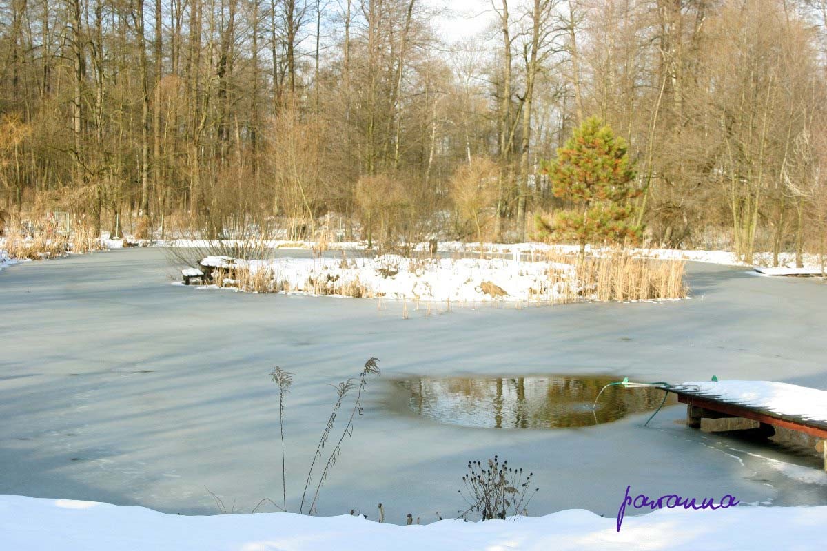 Pozostałe, Mój ogród zimą - staw, w nim w lecie urządzamy harce:) teraz napowietrzamy pompa, aby ryby miały powietrze:)