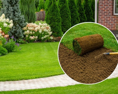 Jak zakładać trawnik z rolki? O tym musisz pamiętać