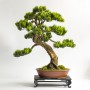 Gabinet, Sztuczne drzewko bonsai zokei wykonane w stylu Moyogi 51cm. - Sztuczne drzewko bonsai sosna