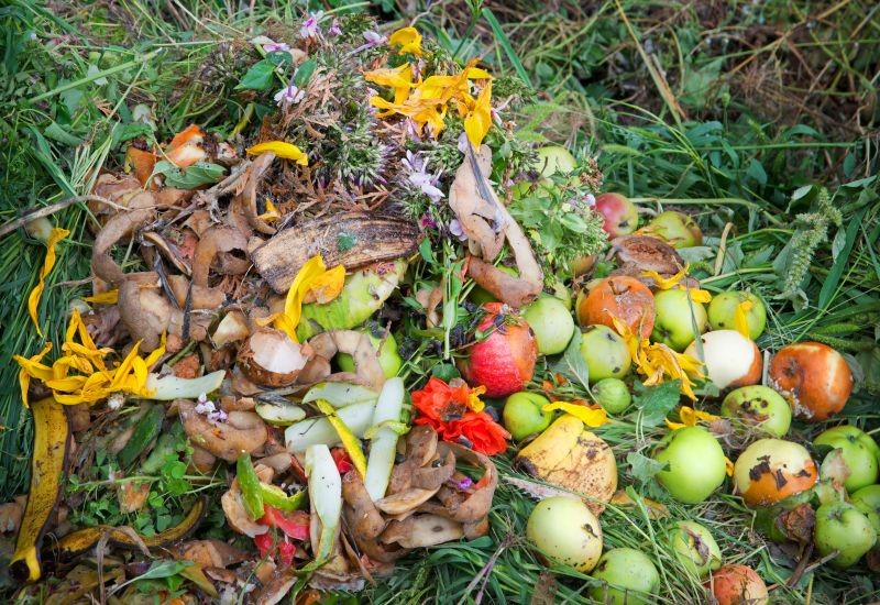 Co można kompostować jesienią, a czego lepiej nie?