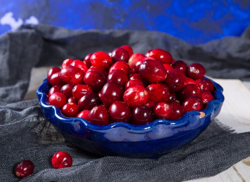 żurawina wielkoowocowa Pilgrim