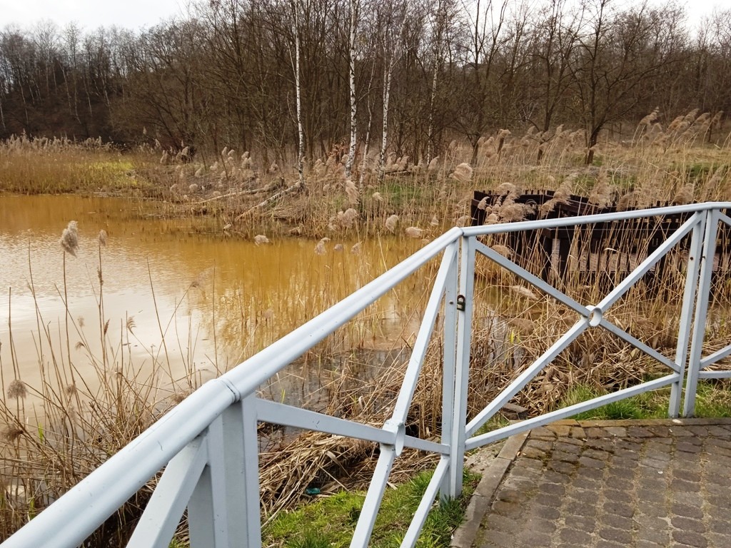 Pozostałe, WIOSNA W PARKU