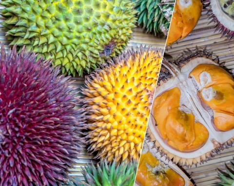 Durian to najbardziej niebezpieczny smakołyk świata. Jak smakuje ten zakazany owoc?