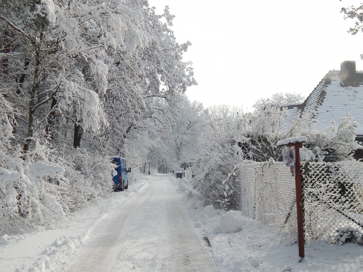 Leśne klimaty, ZIMOWA BAJKA  :)