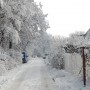 Leśne klimaty, ZIMOWA BAJKA  :)