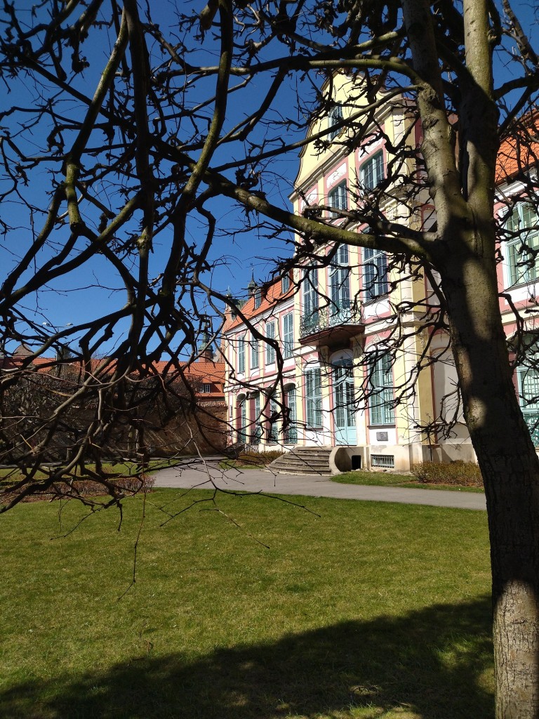 Rośliny, Zdrowych i Spokojnych Świąt Wielkanocnych ........... - Zdrowych i Spokojnych Świąt Wielkanocnych życzę Wam.................