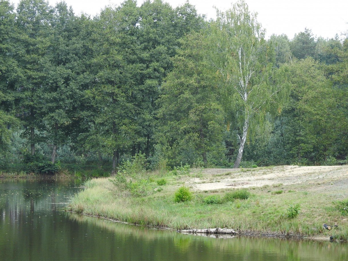 Leśne klimaty, ZWYKŁE I NIEZWYKŁE