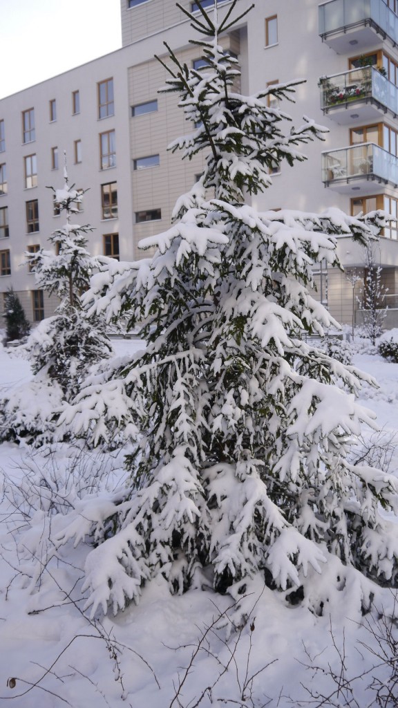 Pozostałe, Białego szaleństwa cd... - a na dworze biało