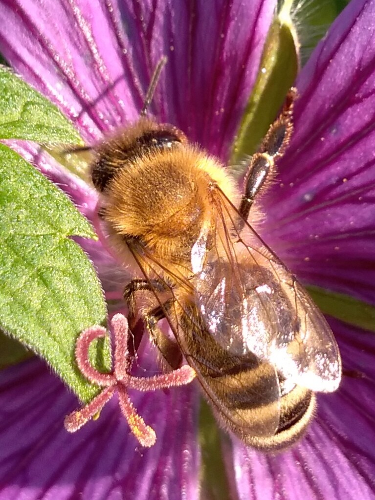 Leśne klimaty, Natura