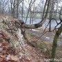 Pozostałe, Park - Przedwiośnie w parku, widok ze skarpy na łachę.
#łacha#lacha#park#sandbank#palace#earlyspring