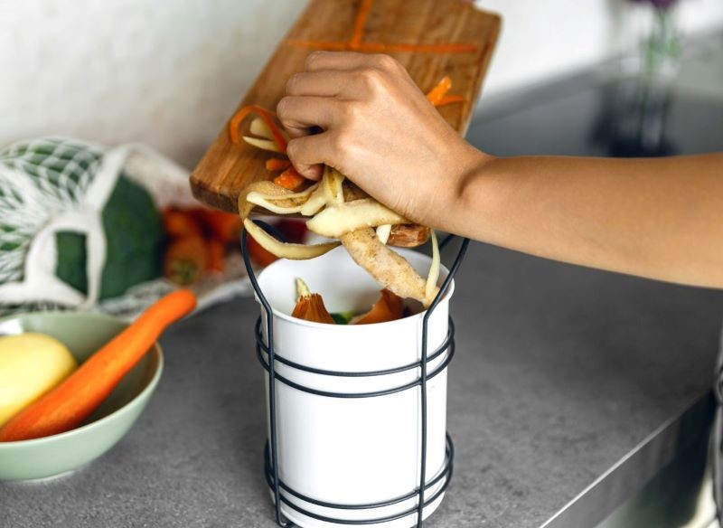 Na kompost możemy wyrzucać np. obierki warzyw i owoców.