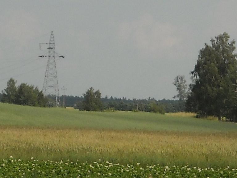 Pozostałe, Pełnia lata....