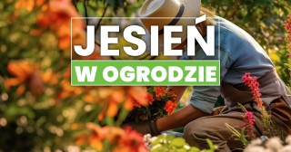 Jesień w ogrodzie